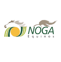 Logo Noga Equinos